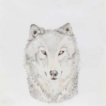 Naturaleza Muerta 2003 - 2007 - Josefina Laratro