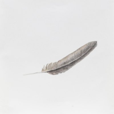 Naturaleza Muerta 2013-2017 - Dibujos - Josefina Laratro - 07