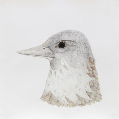 Naturaleza Muerta 2013-2017 - Dibujos - Josefina Laratro - 08