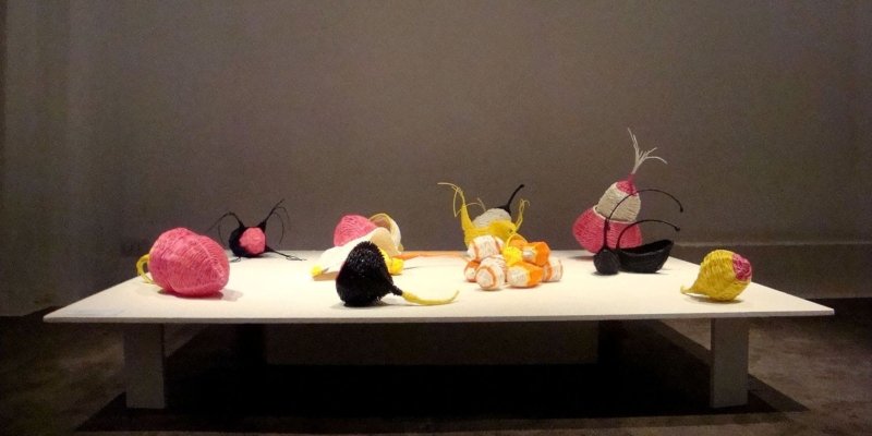 1 - Tejido Interno 2009 - Josefina Laratro