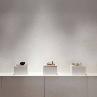 2 - Atrapar el silencio 2018 - Josefina Laratro