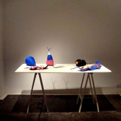 2 - Tejido Interno 2009 - Josefina Laratro