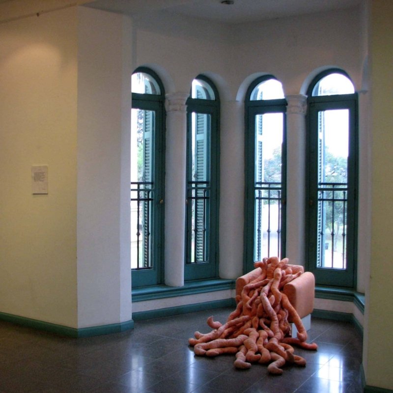 2 - Mujeres Sueltas 2008 - Josefina Laratro