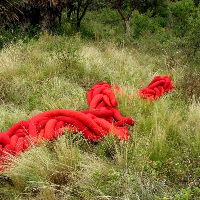02 - Cabellera 2005-07 - Esculturas , instalaciones, Intervenciones - Josefina Laratro
