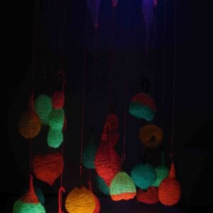 03 - Interior - Frutos - Josefina Laratro