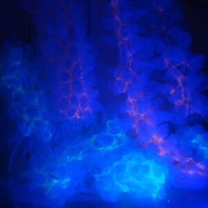 04 - Interior - Frutos - Josefina Laratro