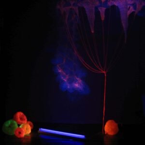 05 - Interior - Frutos - Josefina Laratro