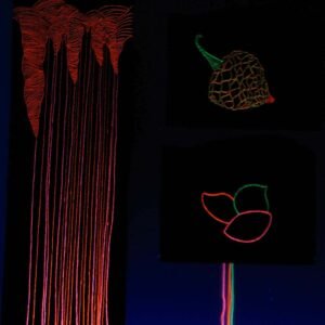 06 - Interior - Frutos - Josefina Laratro