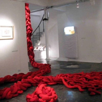 09 - Cabellera 2005-07 - Esculturas , instalaciones, Intervenciones - Josefina Laratro