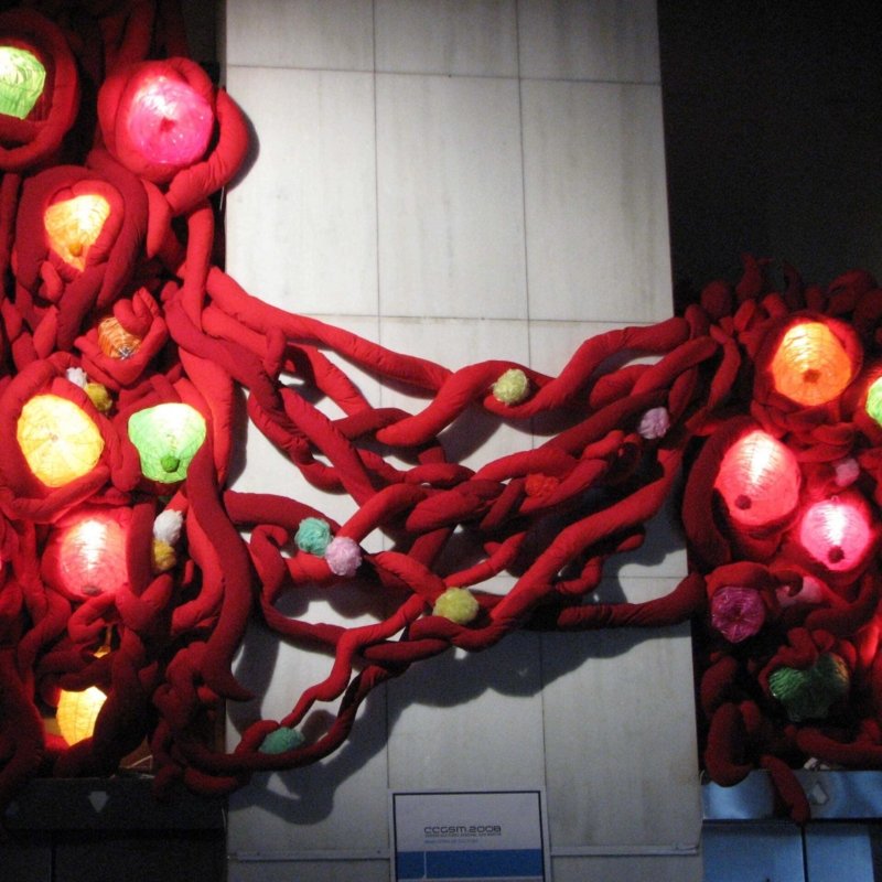 Celebración 1 - Naturaleza y Artificio 2008 - Josefina Laratro