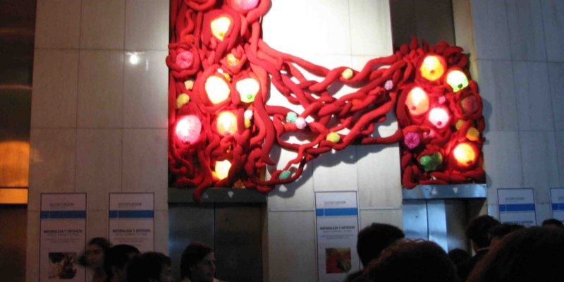 Celebración 2 - Naturaleza y Artificio 2008 - Josefina Laratro