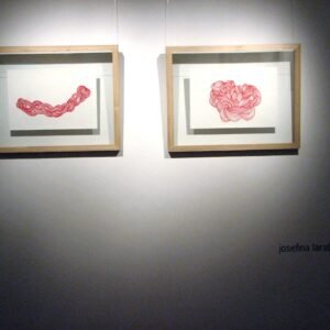 Dibujos Bordados 1 - Instal.Exe 2007 - Josefina Laratro