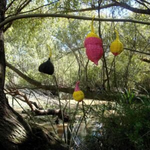 01 - Fotos - Frutos Exterior - Josefina Laratro