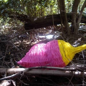 02 - Fotos - Frutos Exterior - Josefina Laratro