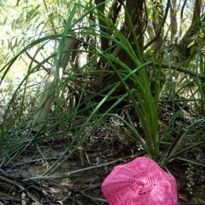 03 - Fotos - Frutos Exterior - Josefina Laratro