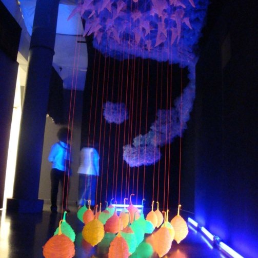 Proyecto Frutos interior 1 - V Bienal Internacional de Arte Textil 2009