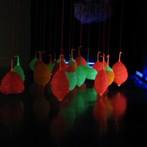 Proyecto Frutos interior. Det1 - V Bienal Internacional de Arte Textil 2009