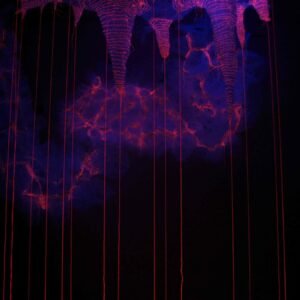 Proyecto Frutos interior 2 - V Bienal Internacional de Arte Textil 2009