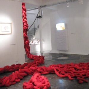 Trenza Roja - Instal.Exe 2007 - Josefina Laratro