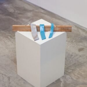 Inauguración 15 - Como la Piel que cambia la serpiente 2017 - Josefina Laratro